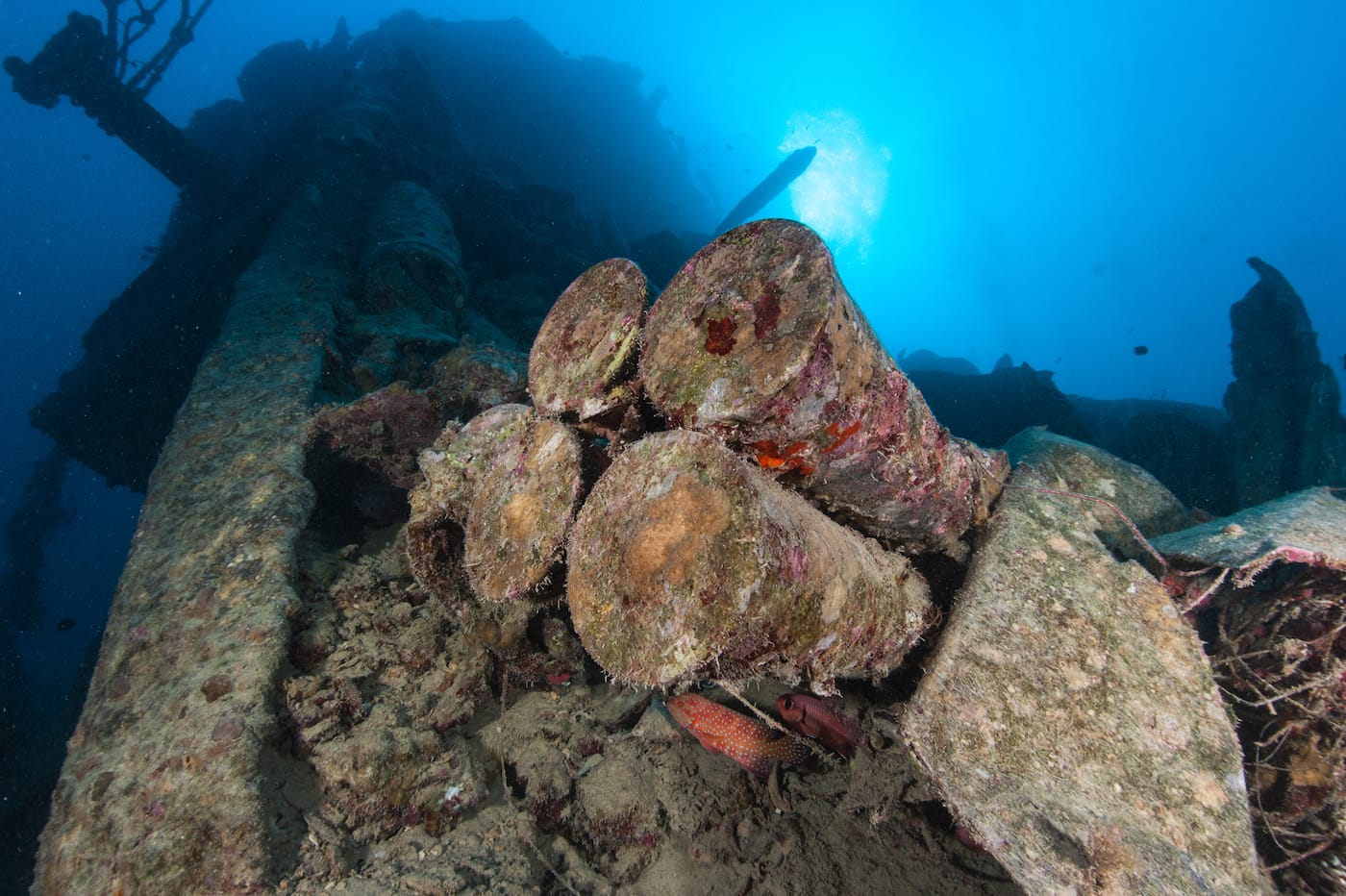 2007, Osiris Projects, Gunfleet Sands 1 and 2, Additional Geophysical Surveys